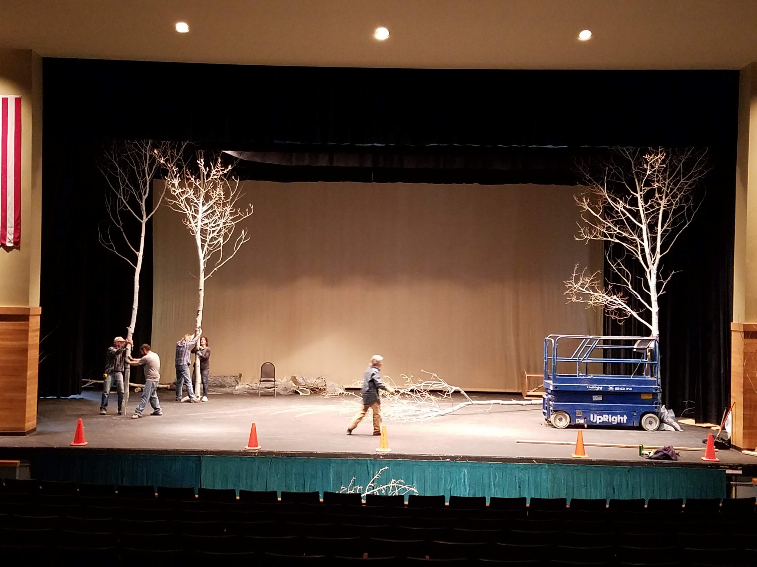 stage aspens, photo by Robin Wignall.jpg