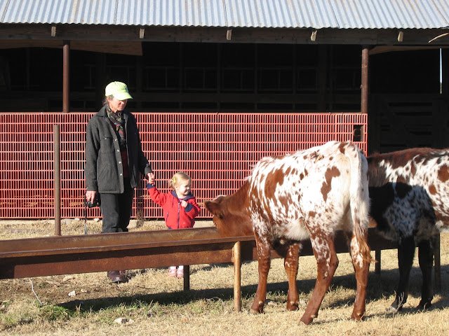 Recognizing Myself in Cowboy Poetry