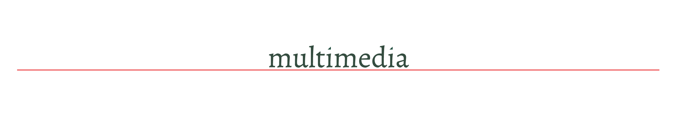 multimedia.png