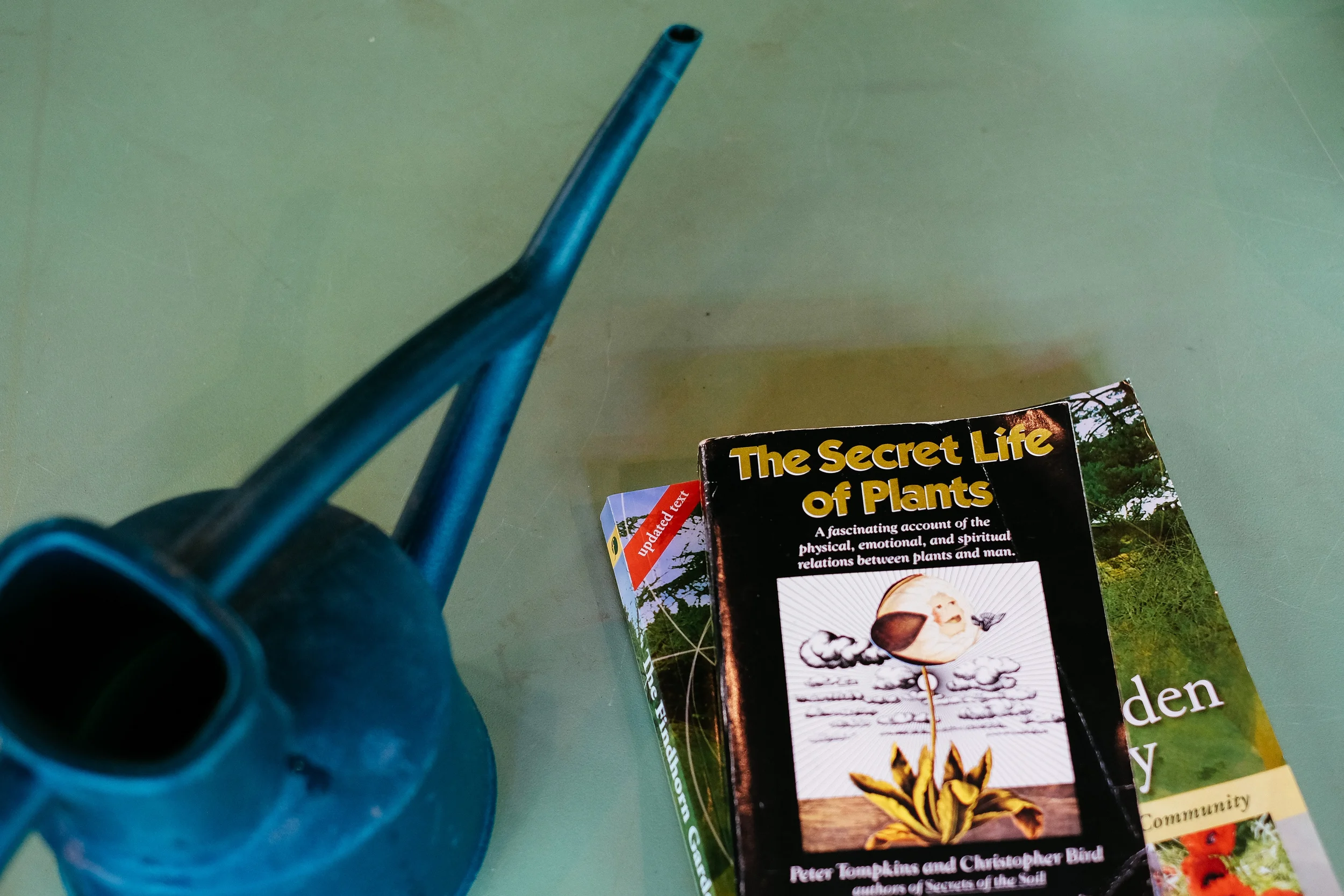      

 
   Tham Jing Yang: Growing Hope   31 January 2015  
 






















         










































  

    
  
     

      

      
         
          
        
        

        
          
             
     