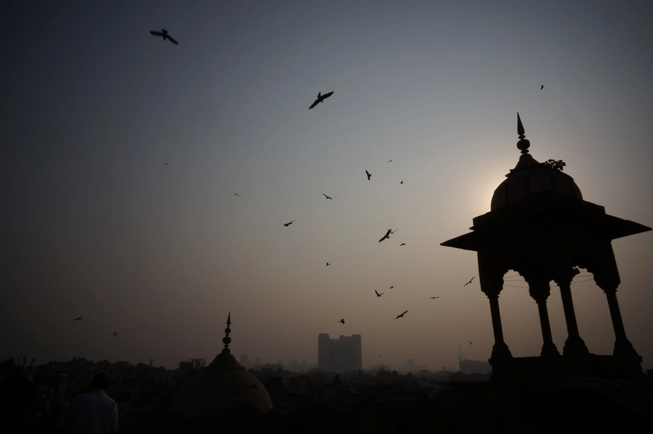      

 
     24 HOURS IN DELHI AIRPORT    (or what happens when you miss your flight)    4 March 2015  
 






















         

 
   Delhi is a beautiful city. Its sun-soaked alleys, riot of colours and torrents of food are a perpetual fe
