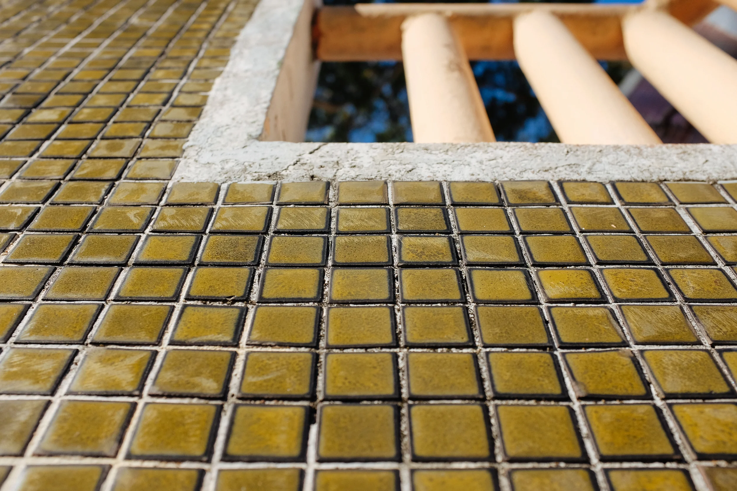      

 
     Dakota: An Old Friend     26 March 2015  
 






















         

 
   This is the way the world turns in Dakota Crescent; its low-slung buildings with enough space to laugh, the wide boulevards stretching out sun-drenched an