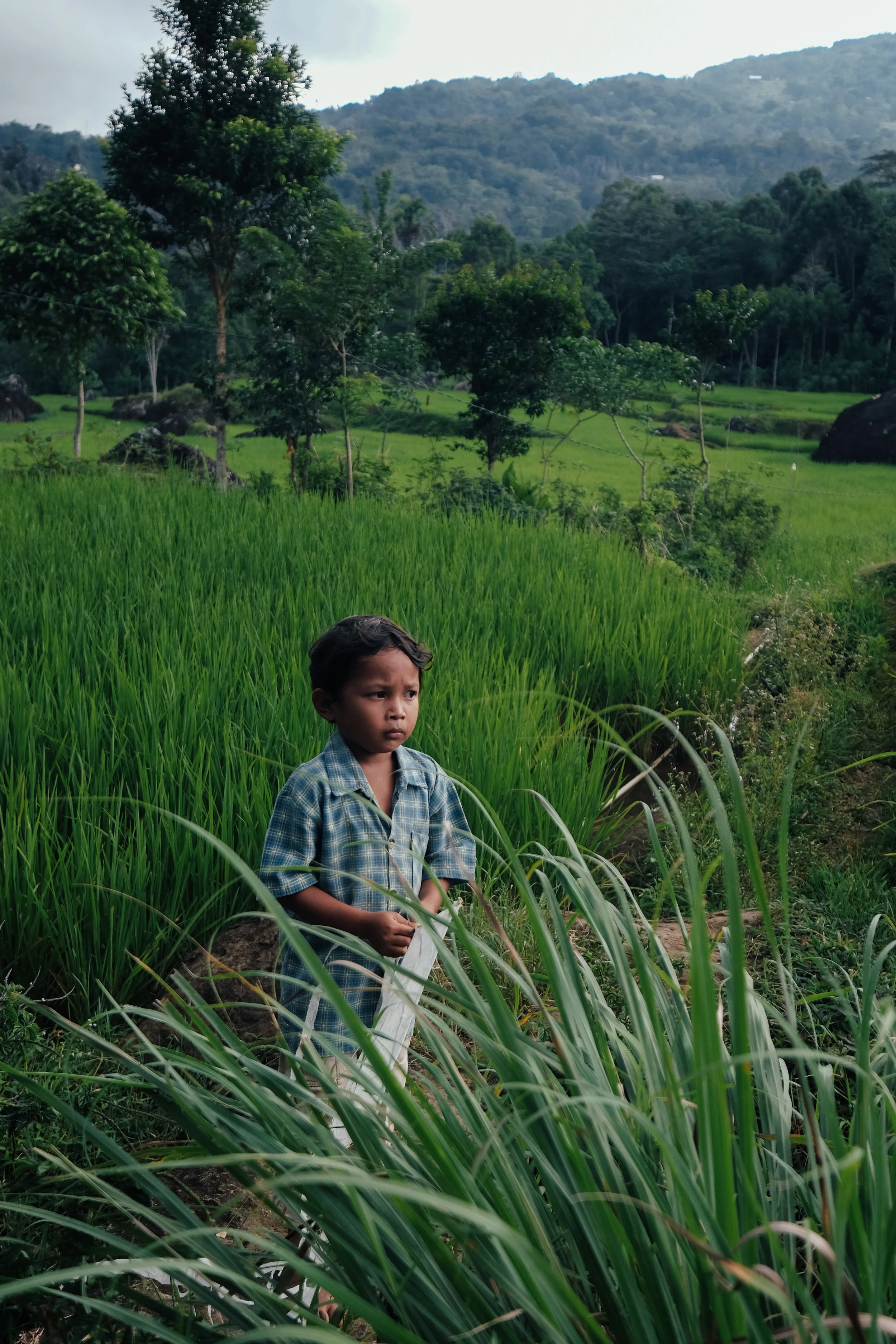 A little boy waits for the wind to pick up so he can fly his kite.
