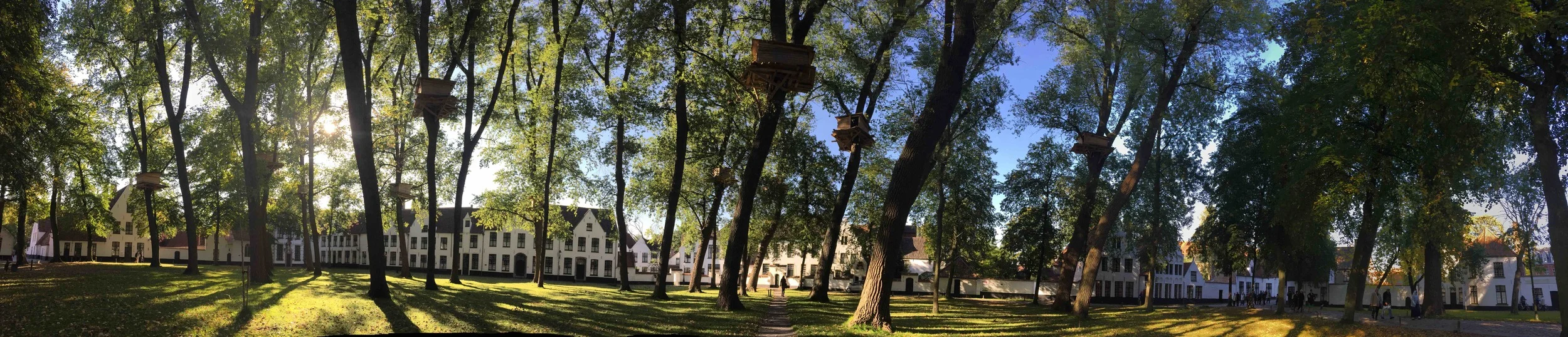 "Tree Huts in Bruges", an installation by Tadashi Kawamata in the Beguinage for the Bruges Triennale 2015
