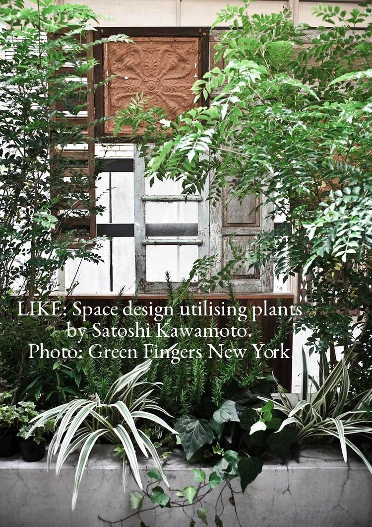 Green Fingers NYC.jpg