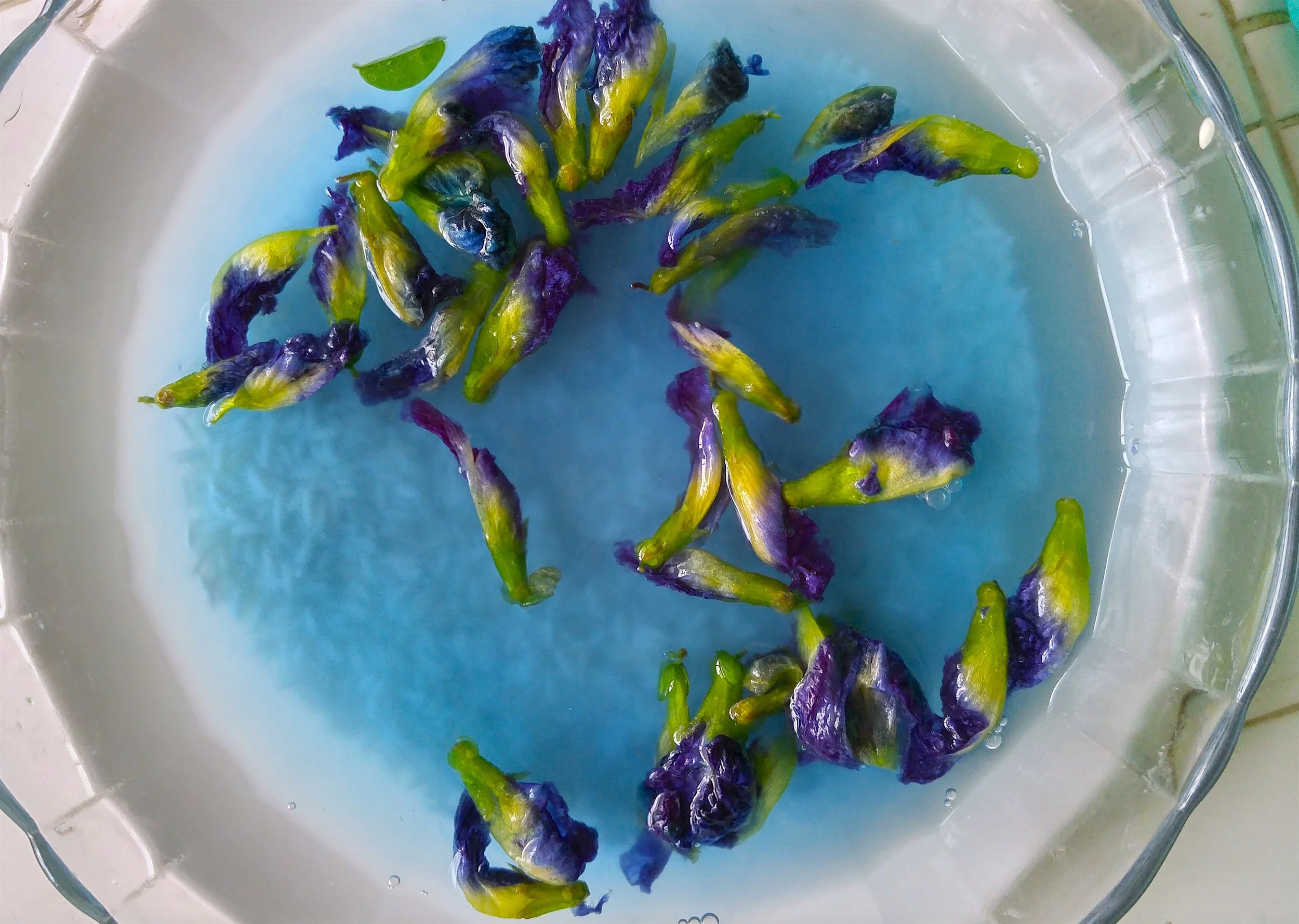 Kueh Salat. Photograph by Melissa De Silva