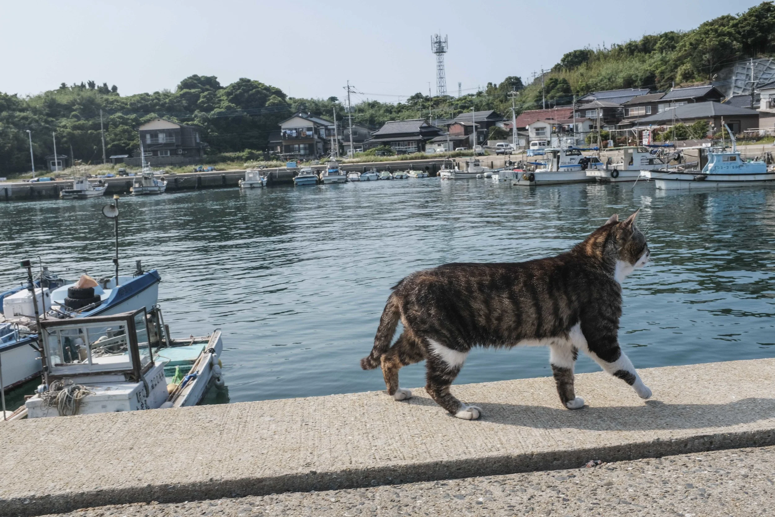      

 
   Kyushu Day Trips (Part 2)  by Marc Nair 5th August 2018 
 






















         

 
   Moving west and north after Kagoshima, we found ourselves based out of Nagasaki, which, despite being largely rebuilt after WWII, has an edgy