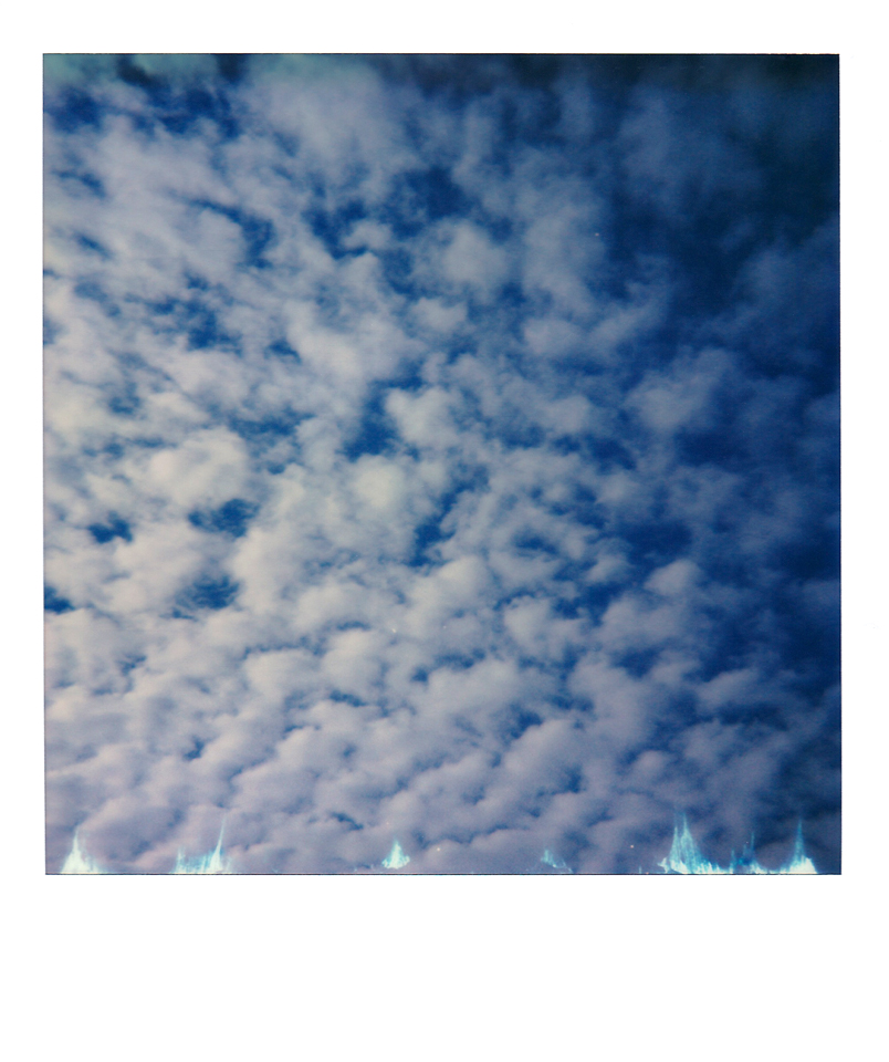 Day 143 14th May.jpg