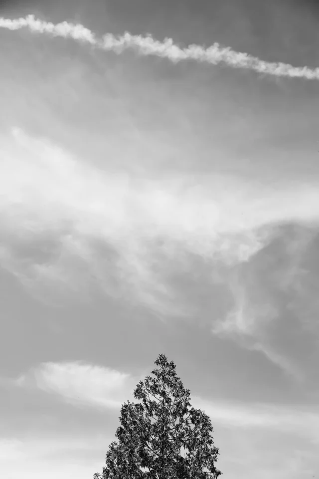 D1 (19 of 34)_1.jpg