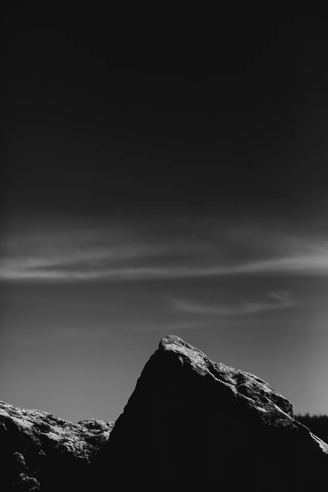 D1 (20 of 34)_1.jpg