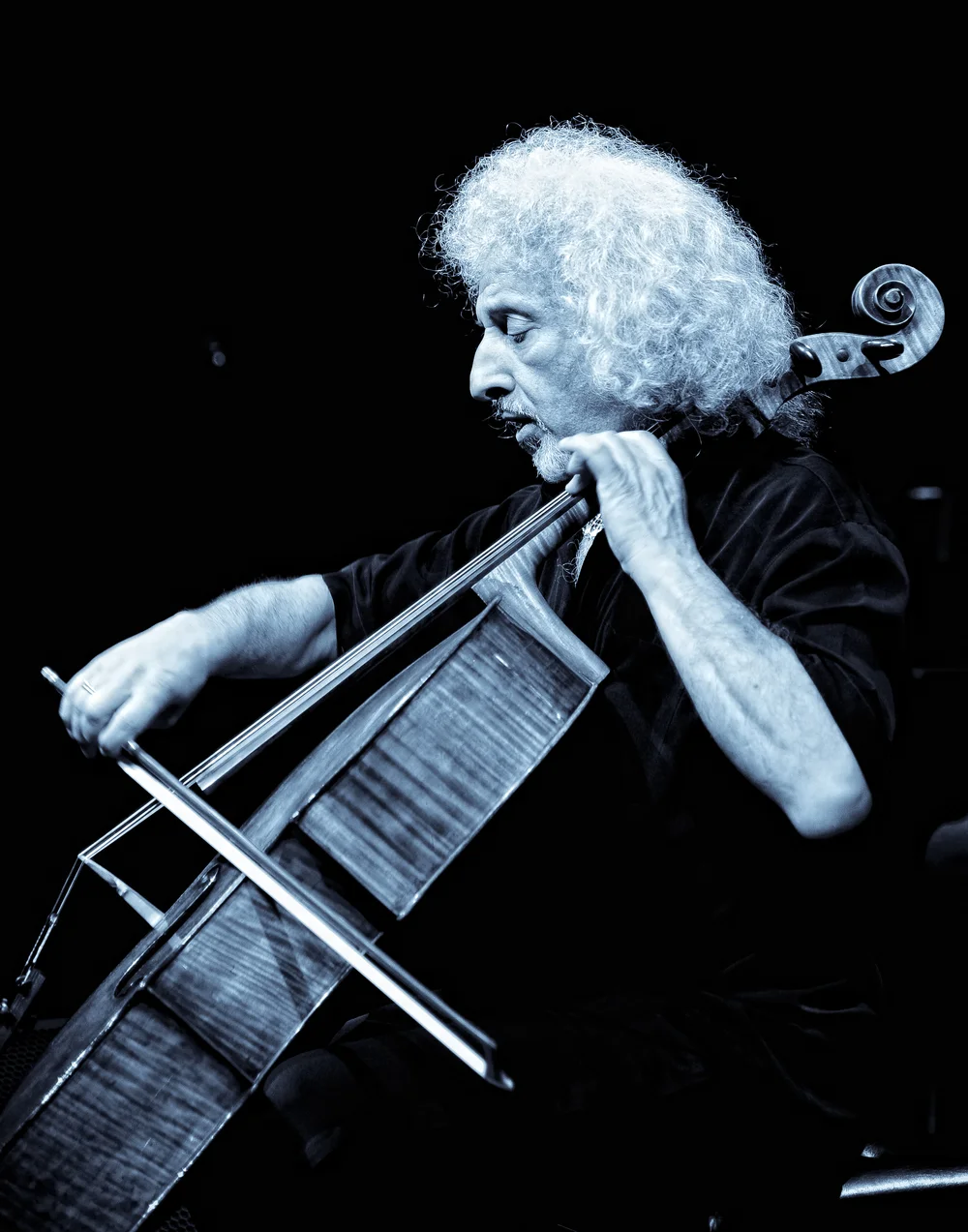 1maisky-7329.jpg