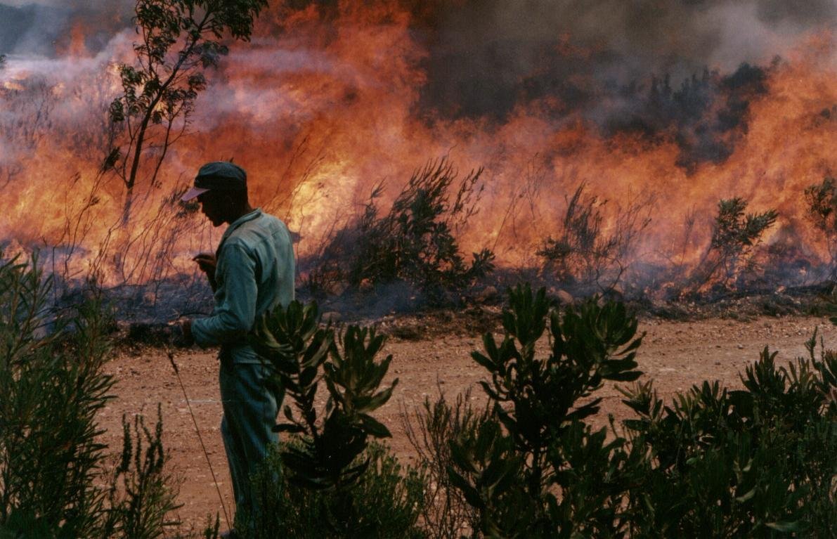 Copy of Block burn.JPG