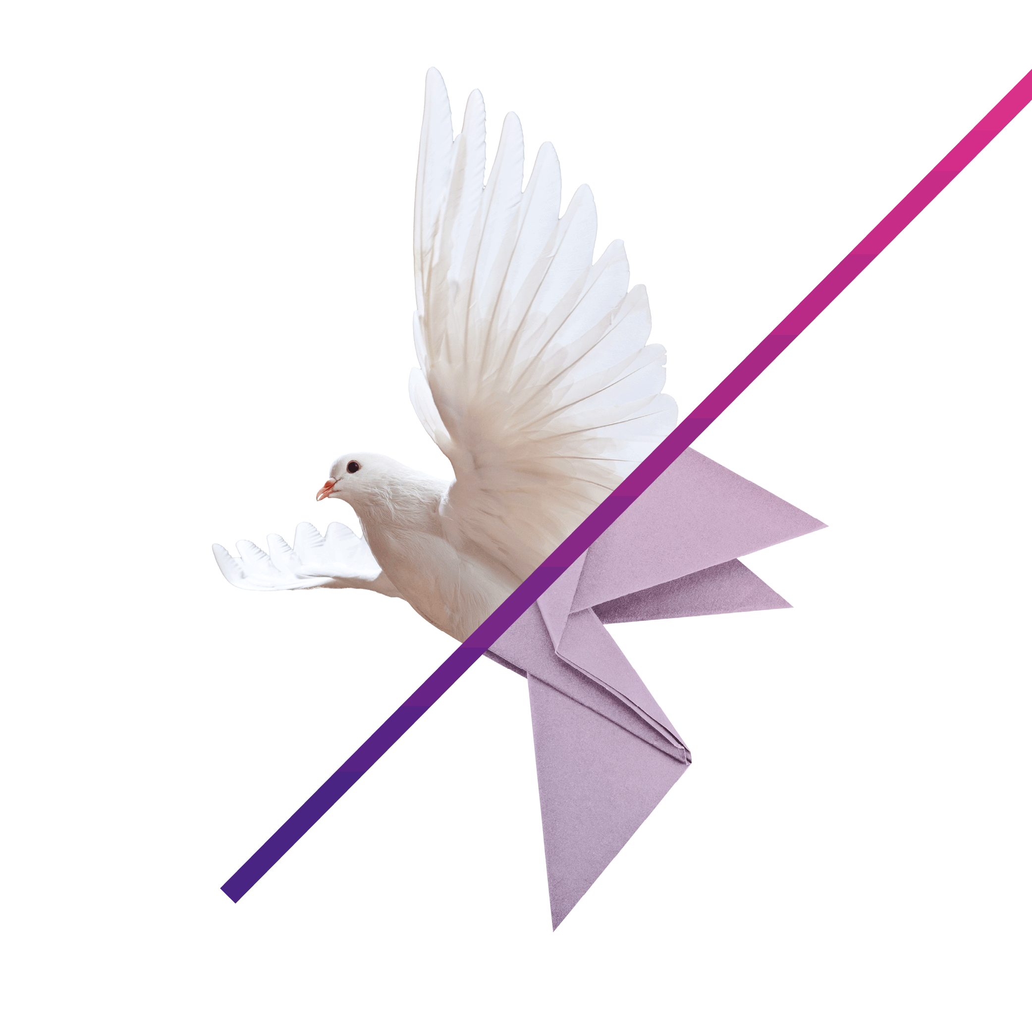 IO_BIRD_WEBGRAPHICS_1500X1500.gif