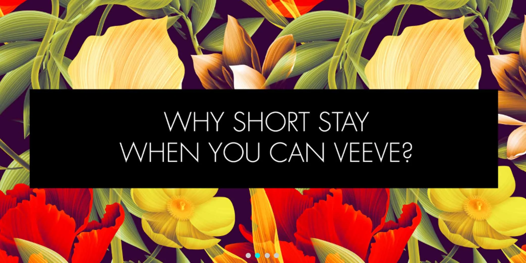 VEEVE_IMAGE1_LOGOWEBGRAPHICS_1500X750.jpg