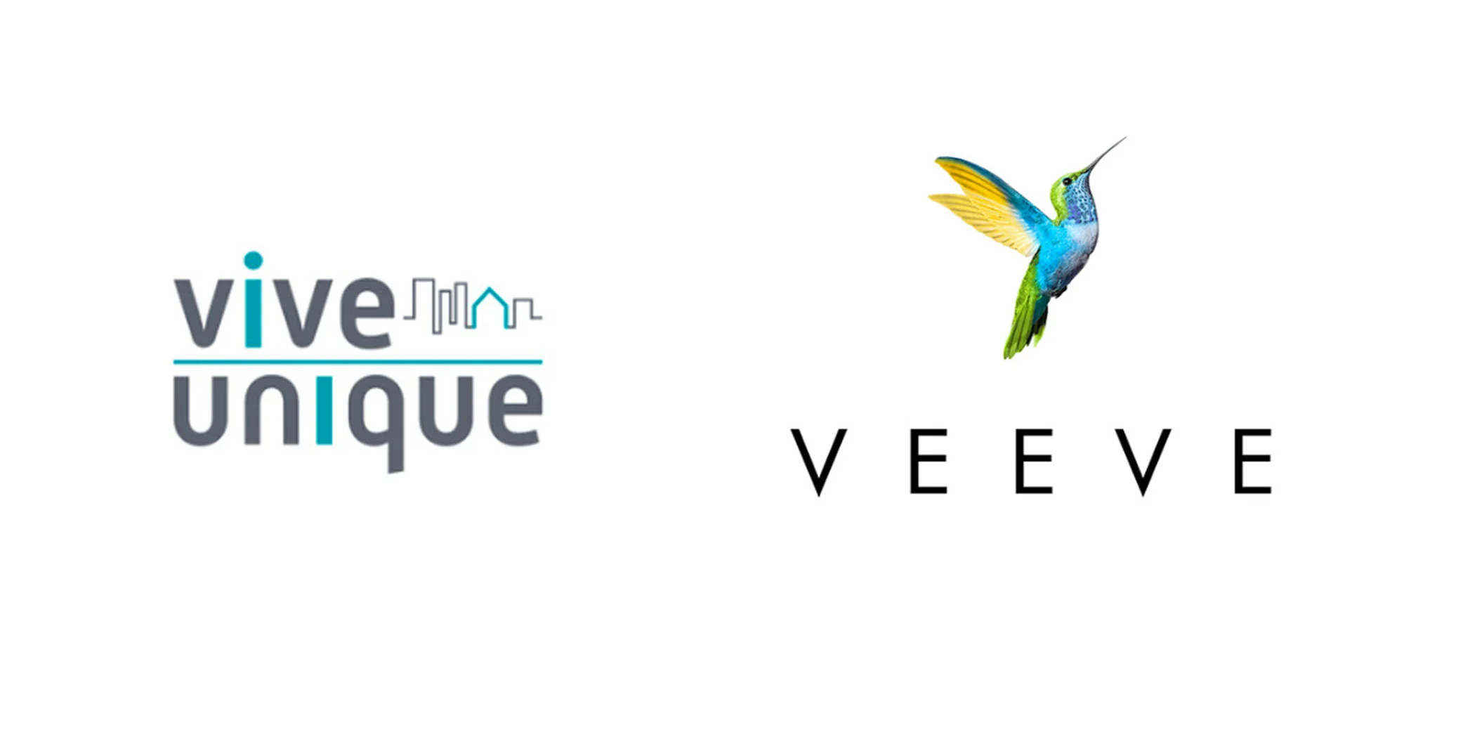 VEEVE_LOGODEV_LOGOWEBGRAPHICS_1500X750.jpg
