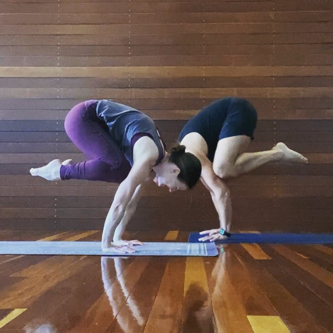 Play and exploration is a part of yoga and life - it is about being curious. Listening, feeling, practicing, understanding, patience and discipline. 

Bakasana, crow pose is about confidence, playfulness, strength and focus - explore this in class wi