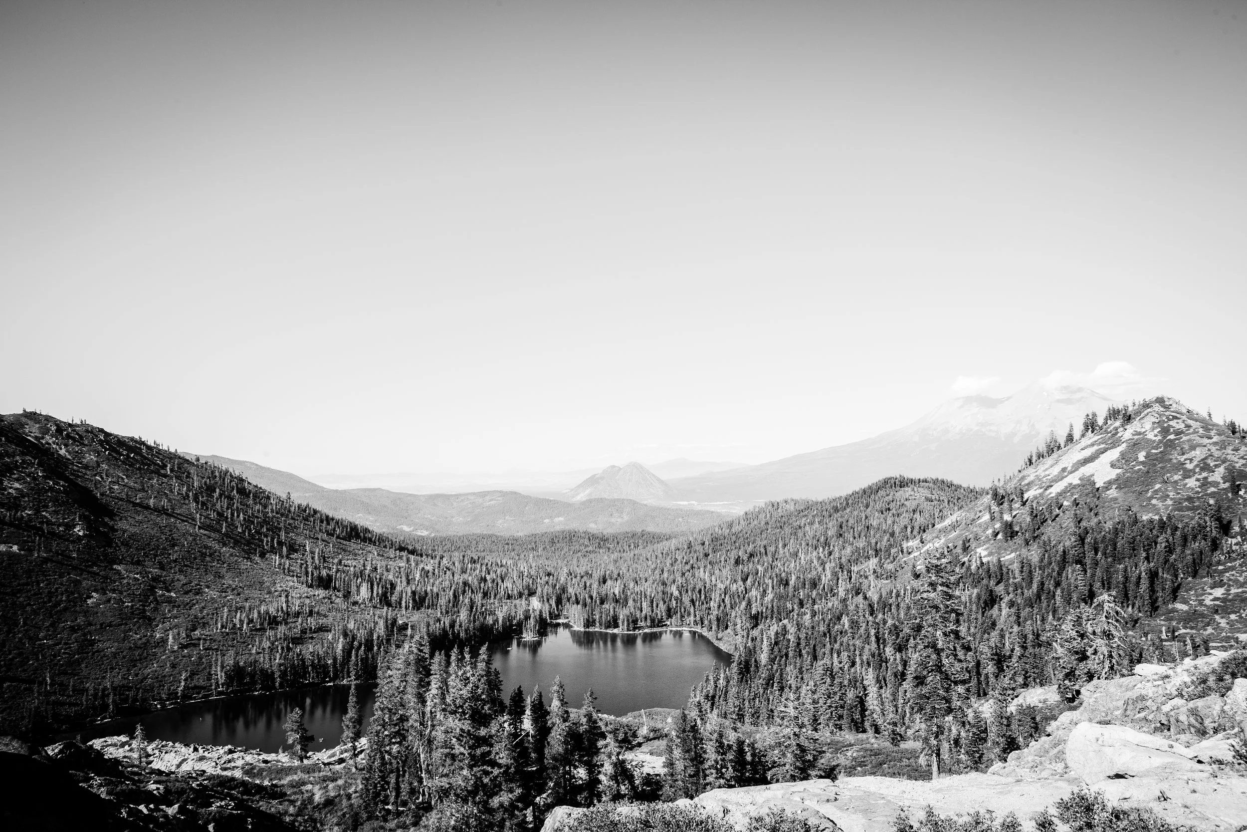 IMG_7600.jpg