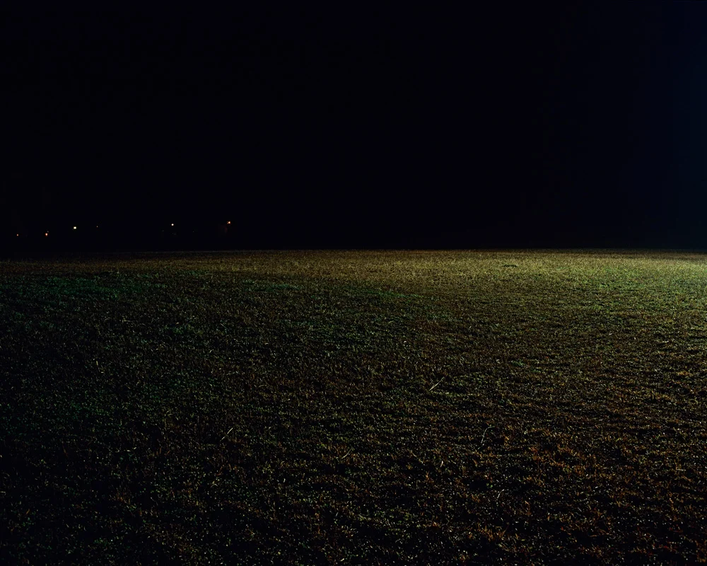 Grass