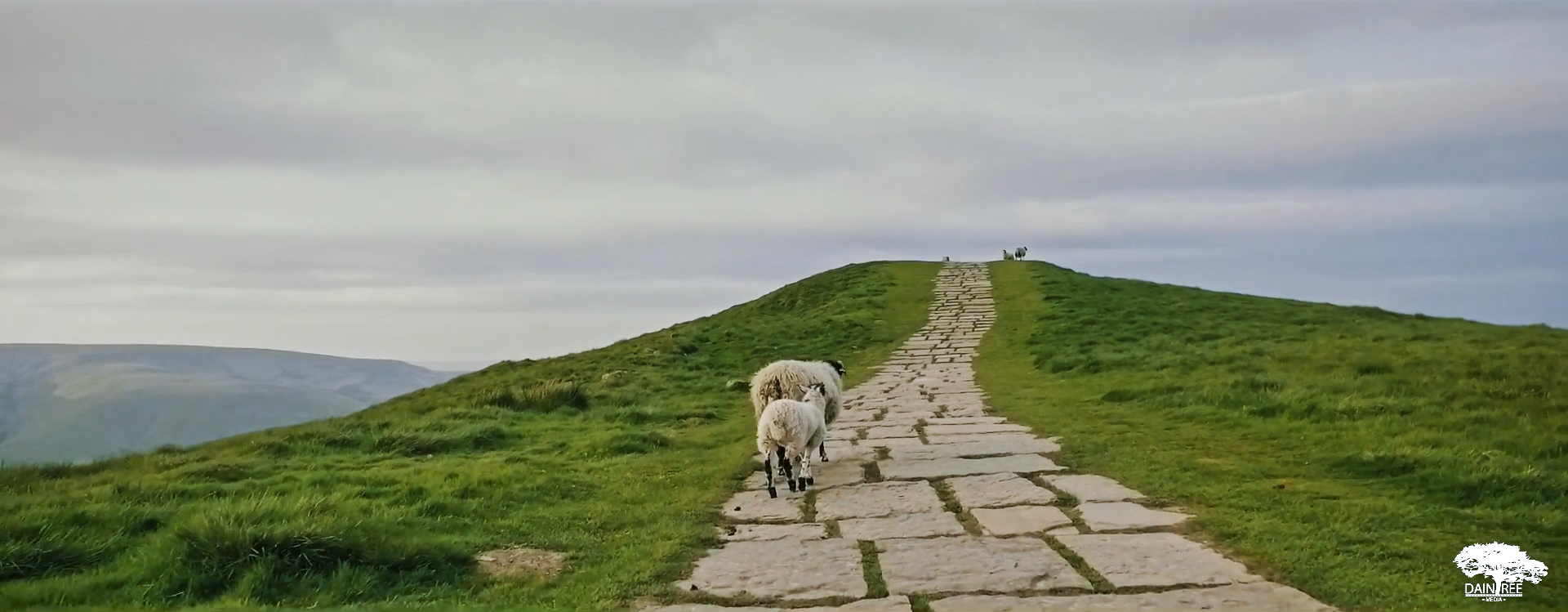 Screen Shot 2017-05-10 at 15.37.05.png