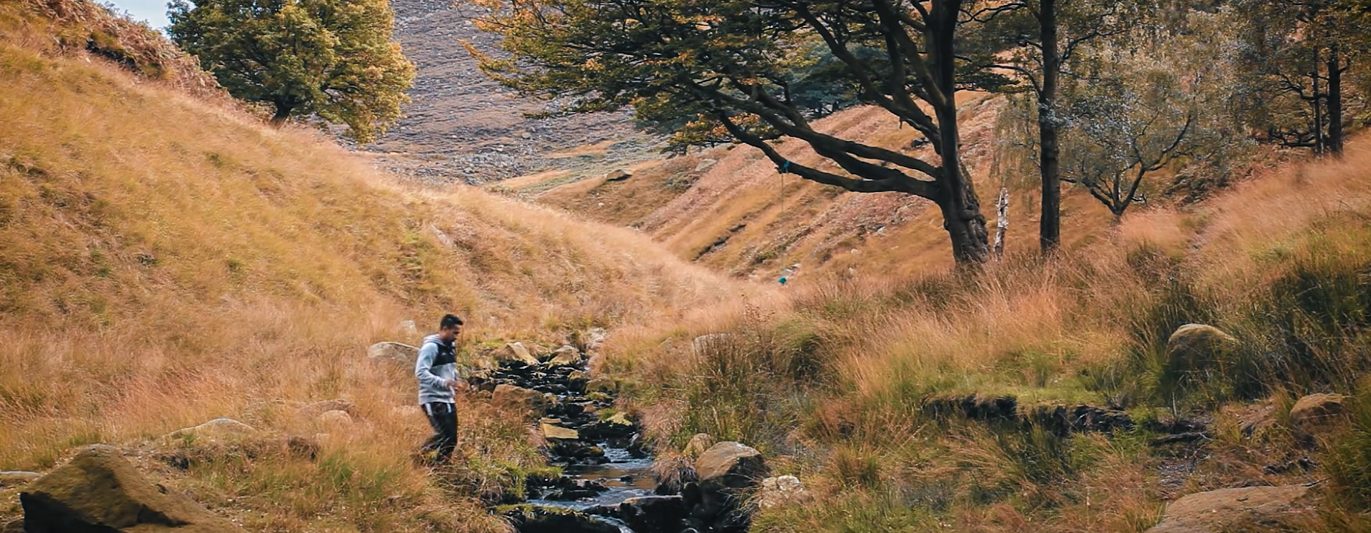 Screen Shot 2017-05-10 at 15.41.13.png