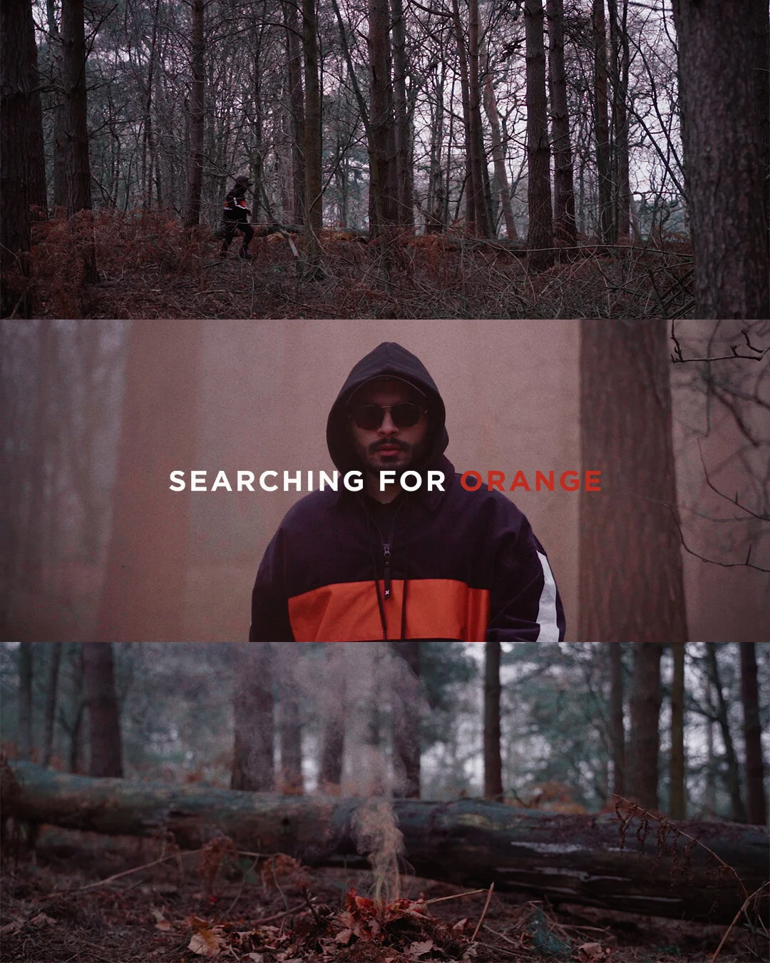 Searching For Orange