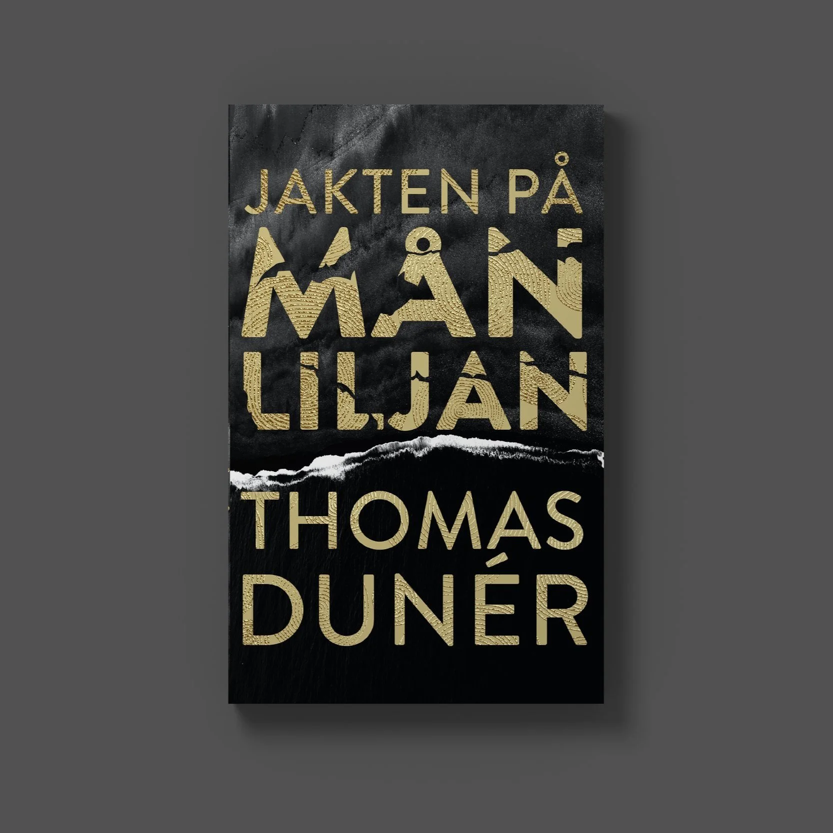 Jaktenpa%CC%8A_mock.jpg