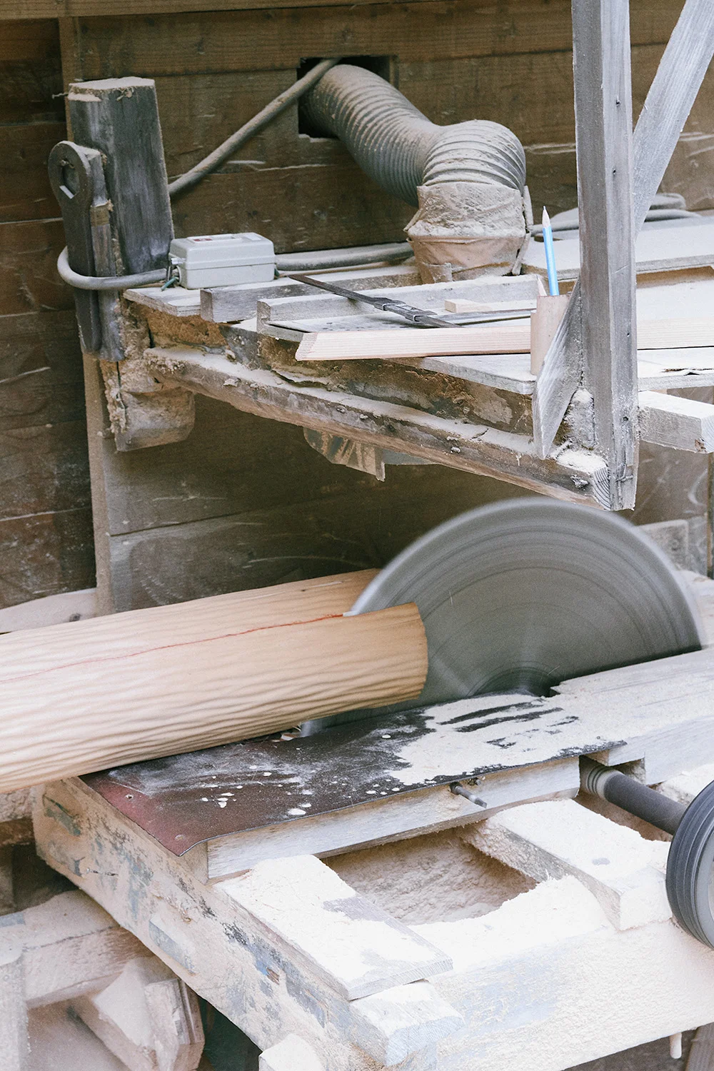 Kitayama tree being cut for our furniture collection.