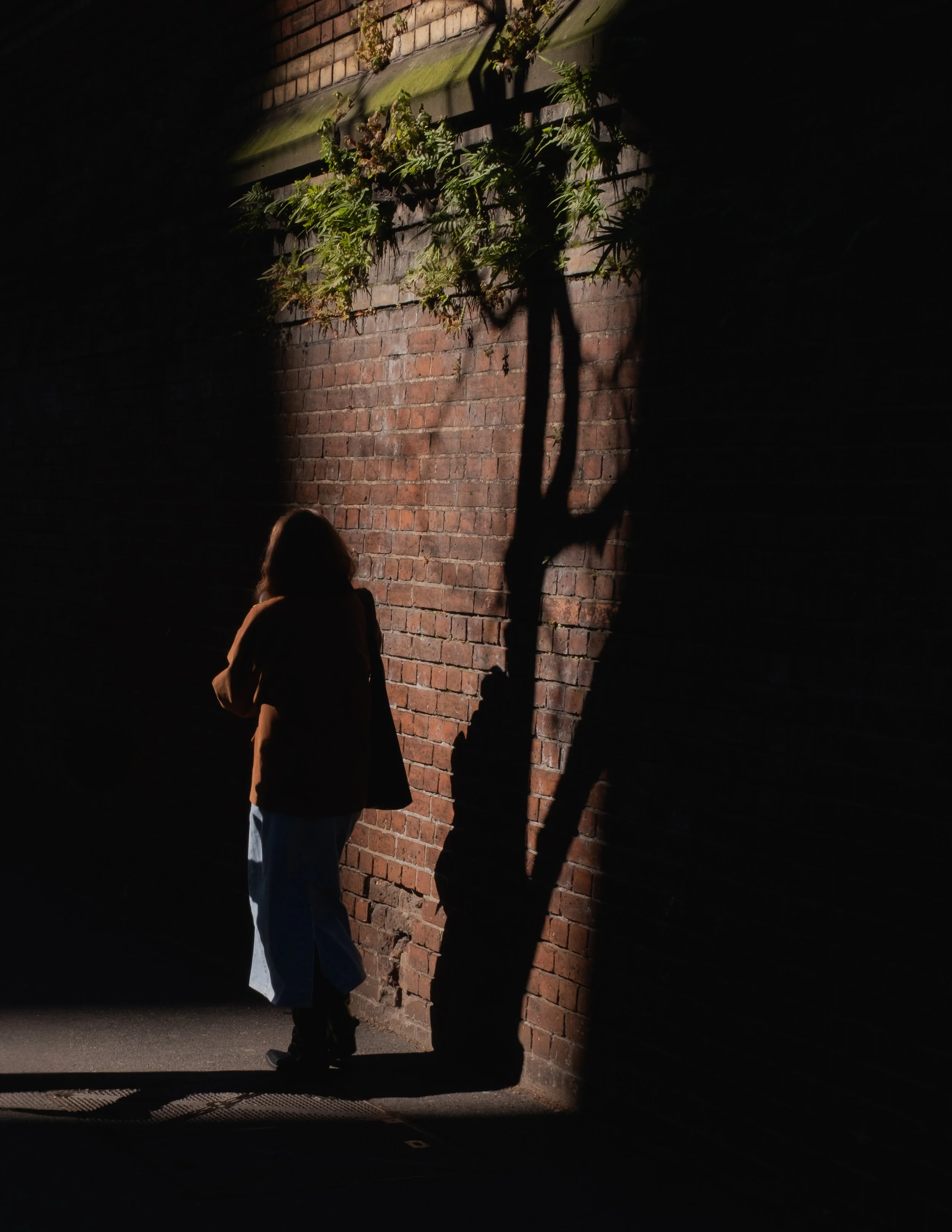 Melbourne 2025-29.jpg