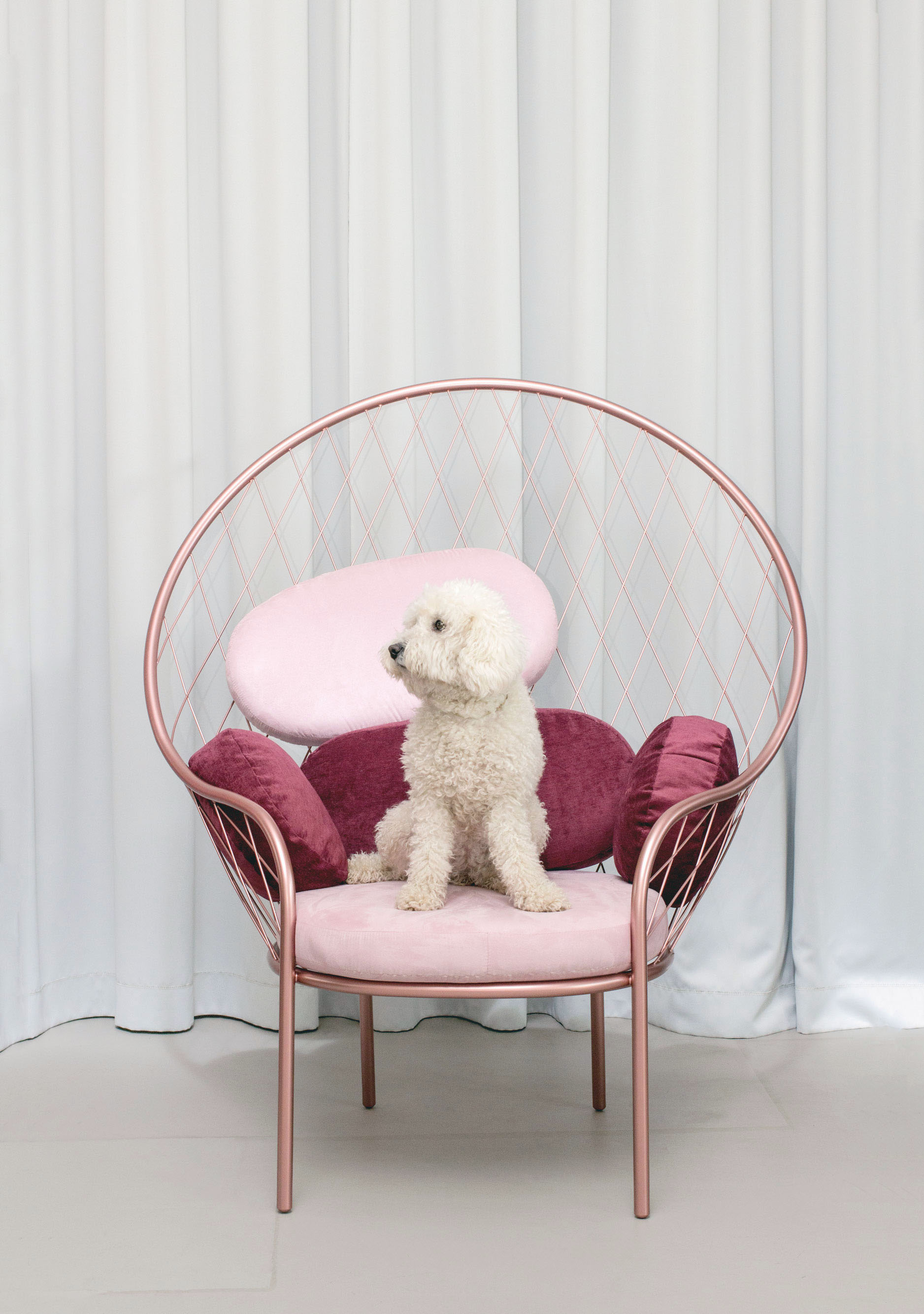 Peacock Chair