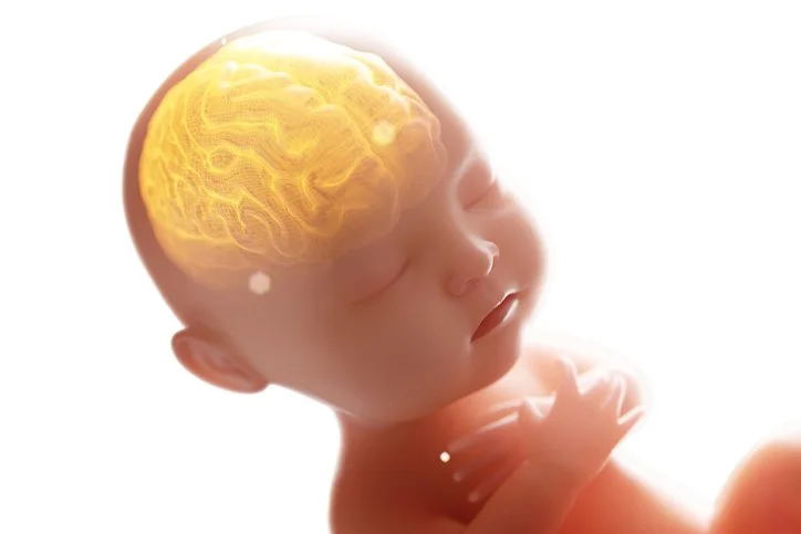 Infant Mental Health: What It Is and Why It's Important