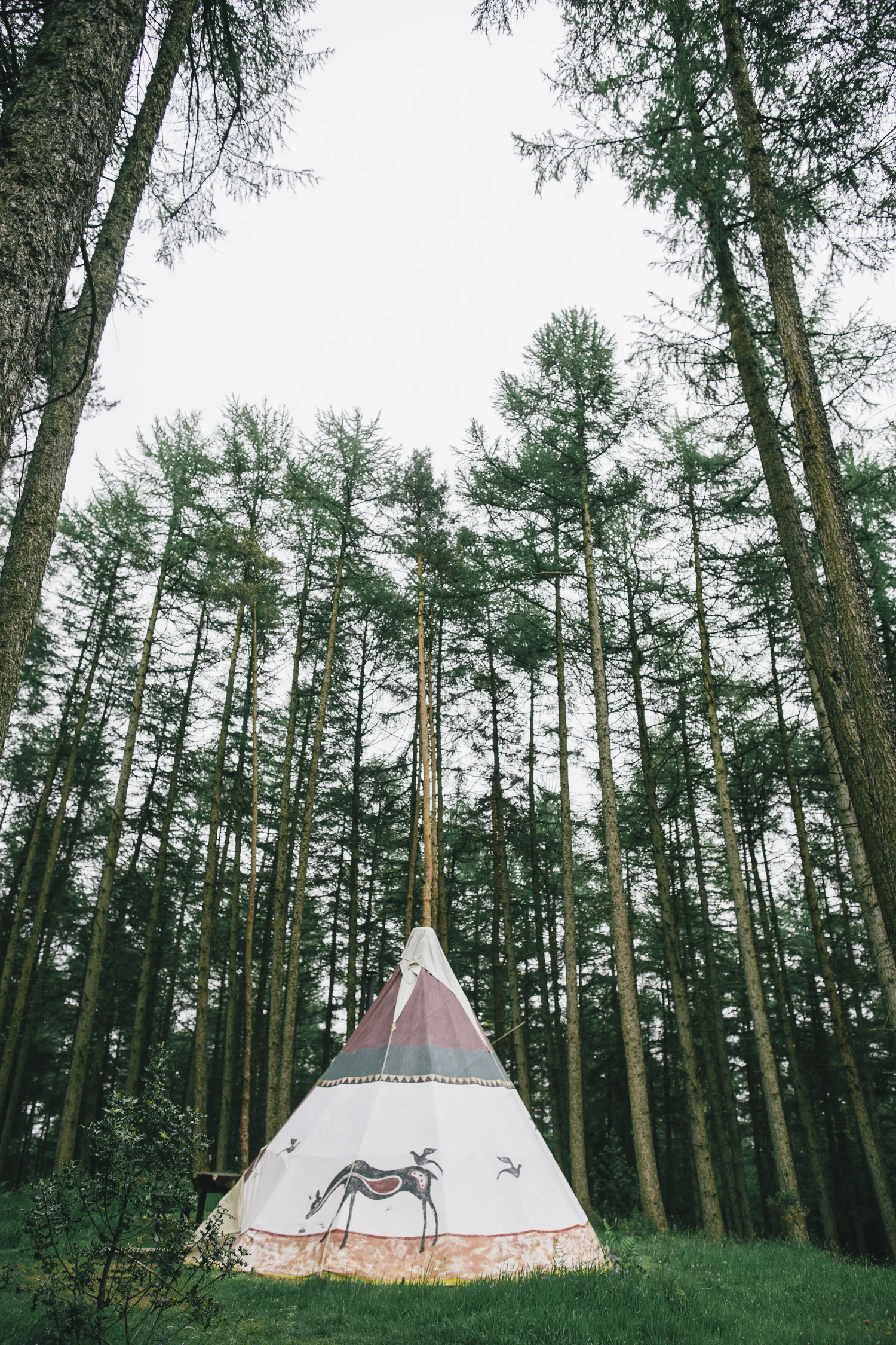 Alternative_wedding_photographer_scotland_borders_mabie_forest-2.jpg
