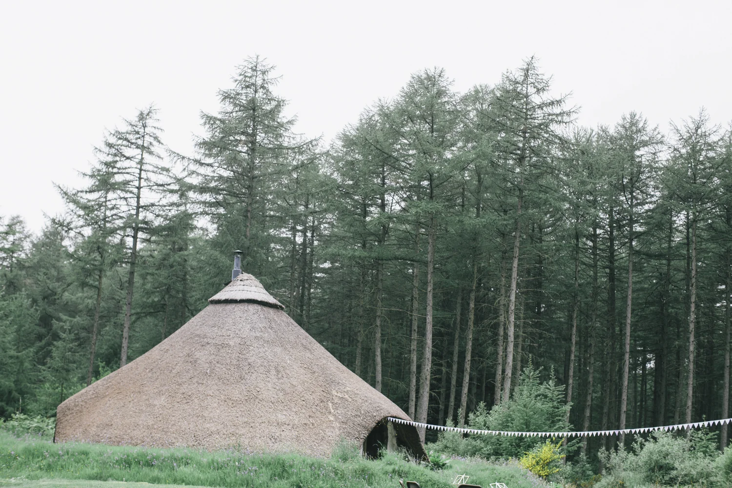 Alternative_wedding_photographer_scotland_borders_mabie_forest-3.jpg