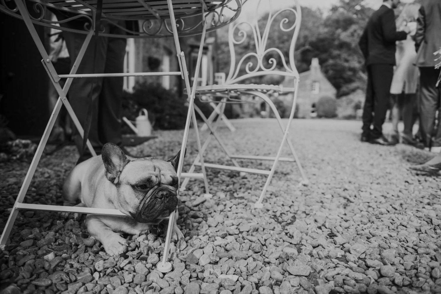 Alternative_wedding_photographer_scotland_west_coast-65.jpg