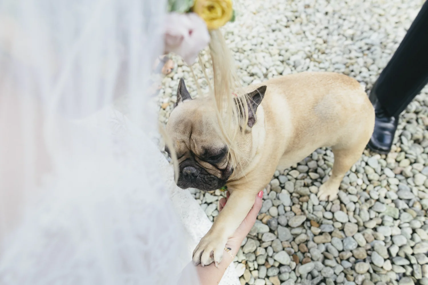 Alternative_wedding_photographer_scotland_west_coast-66.jpg
