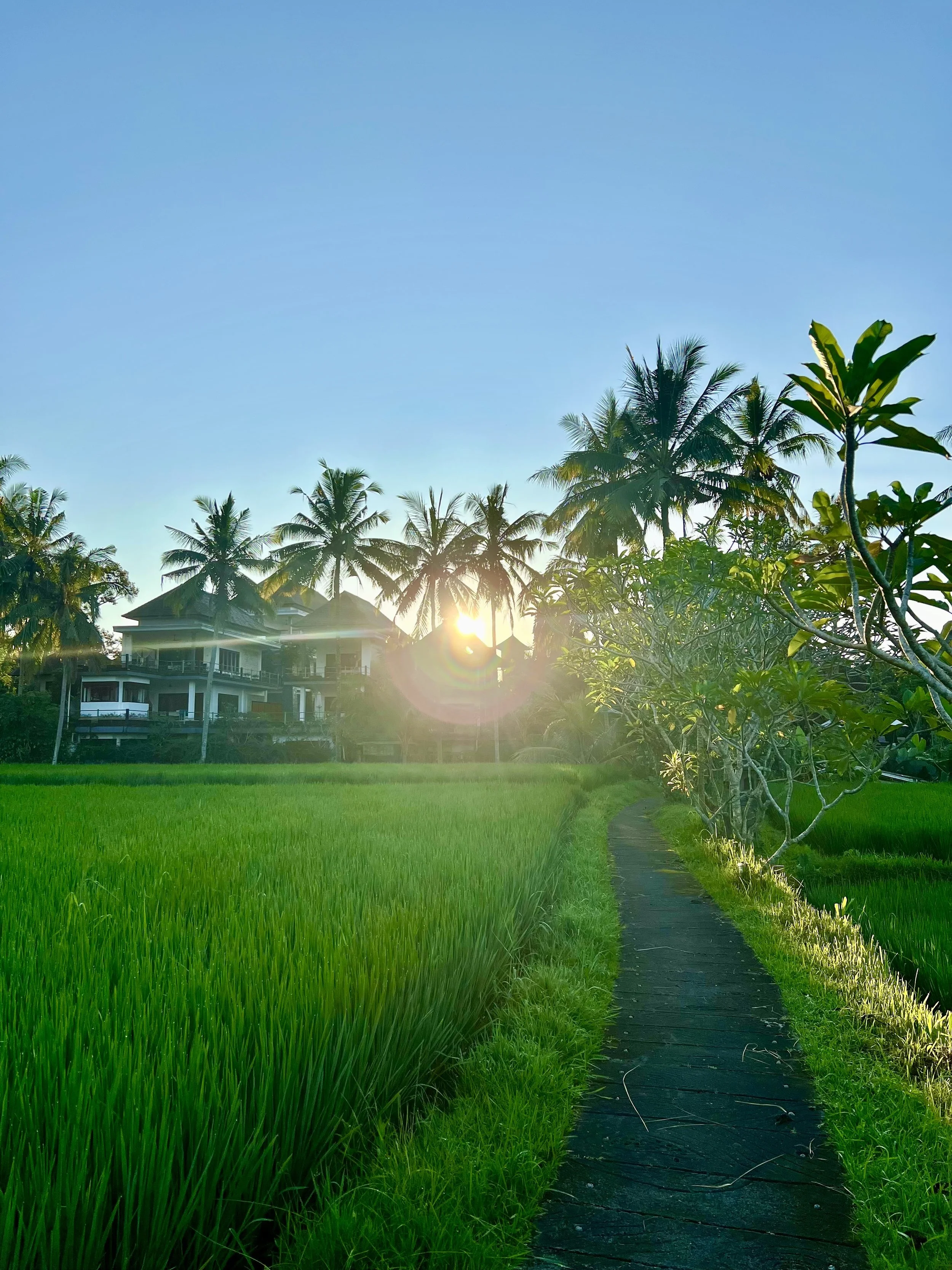 Bali 2027 – Global Yoga Vibes Retreat