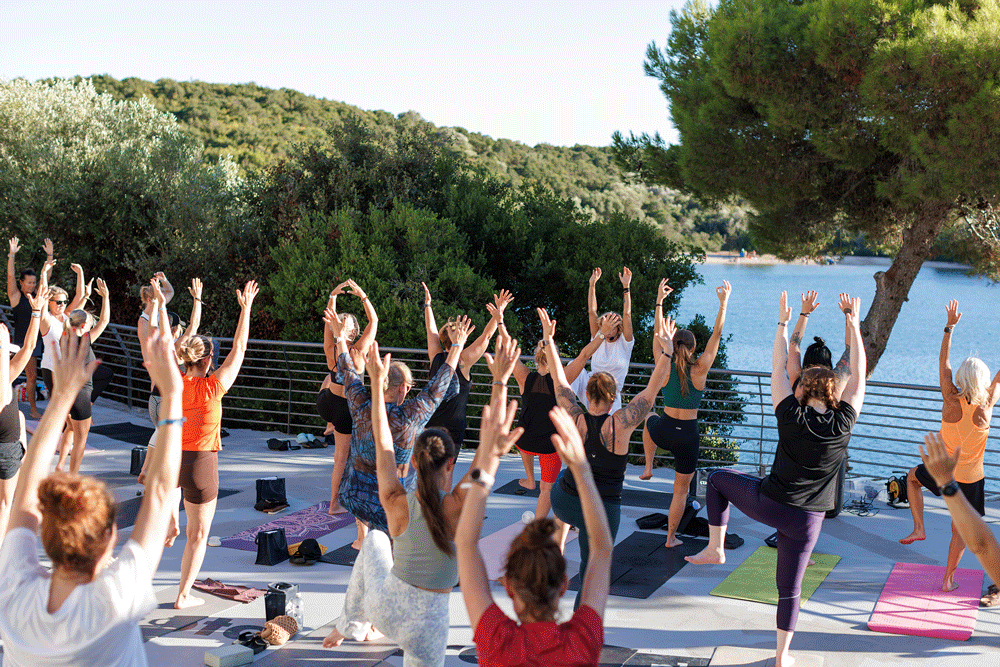 Träningsresa 2026 Summit