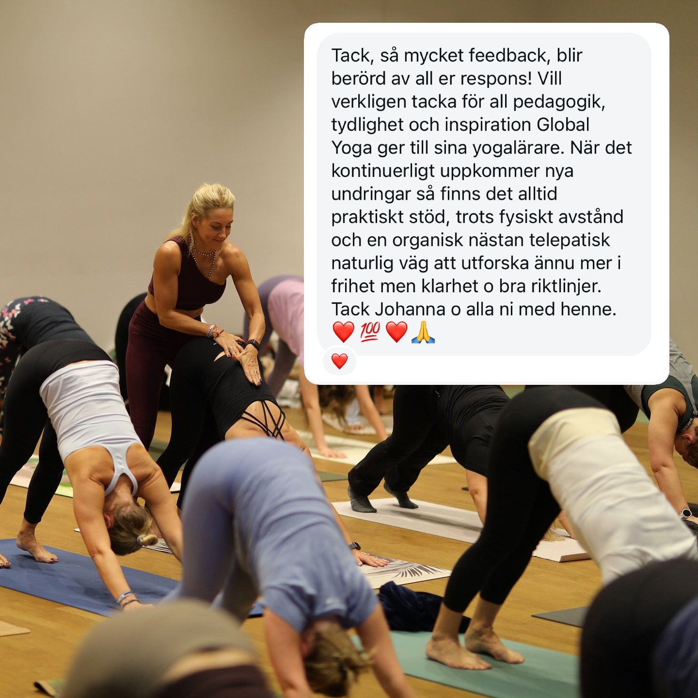 Wow, det h&auml;r gjorde v&aring;r dag 😍❣️

Att l&auml;sa om hur ni upplever v&auml;gen mot att bli yogal&auml;rare p&aring;minner oss om varf&ouml;r vi startade Global Yoga 2007 &ndash; f&ouml;r att yoga &auml;r f&ouml;r alla och att r&auml;tt peda