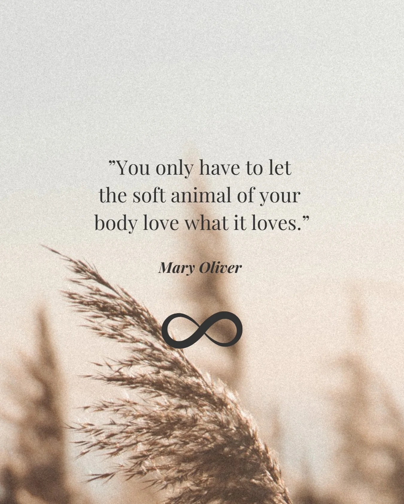 Vad &auml;r du redo att ta emot den h&auml;r v&aring;ren?

V&aring;ren f&ouml;r&auml;ndrar inget med endast kraft. Utan genom att ta emot, ljuset, v&auml;rmen.

SoulSurfing &auml;r levande fr&aring;gor snarare &auml;n n&aring;got som ska l&ouml;sas: 