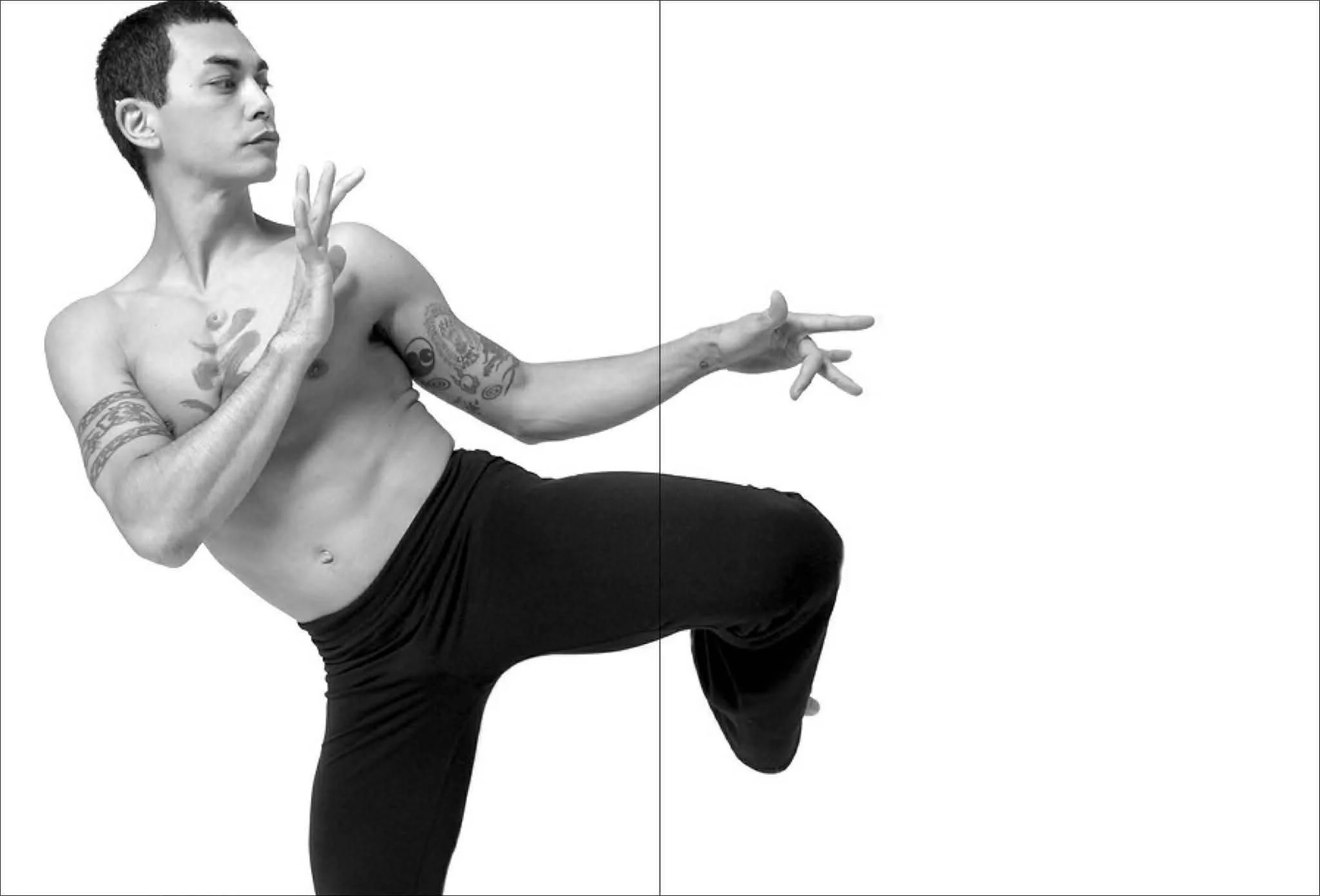 Yogic Arts 50h