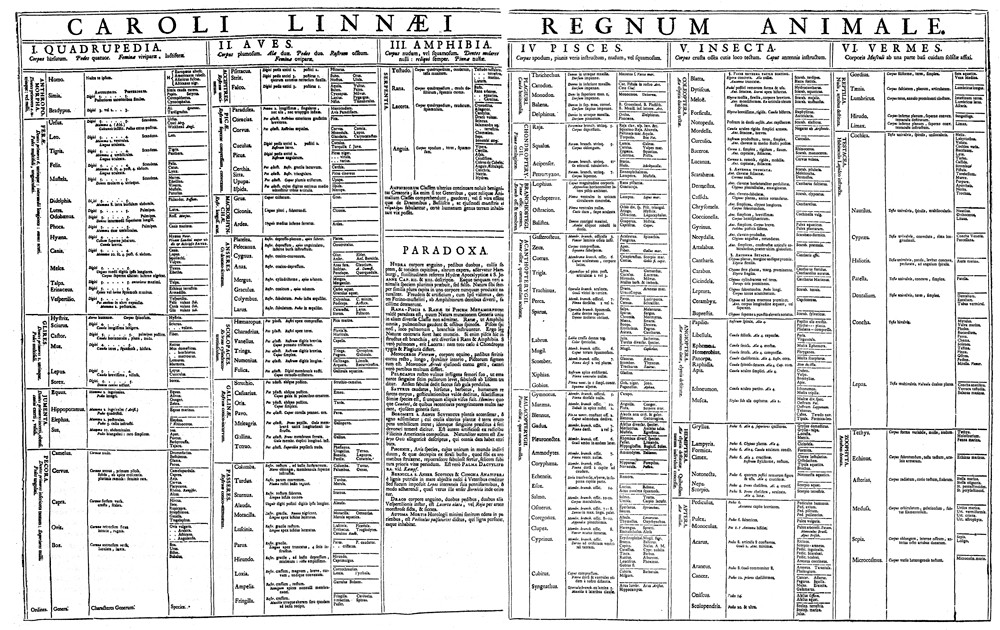 Table of the Animal Kingdom, 1735, Carl Linnaeus, System Naturae