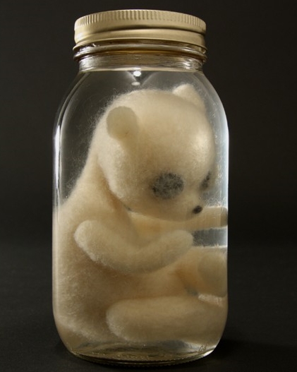 Teddy Bear (Un) Natural History, Stephanie Metz