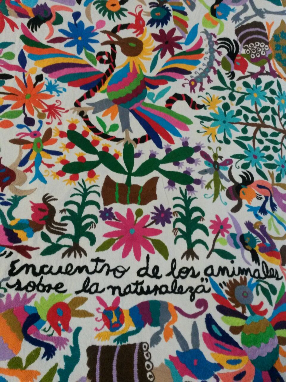 Otomi (18).jpg