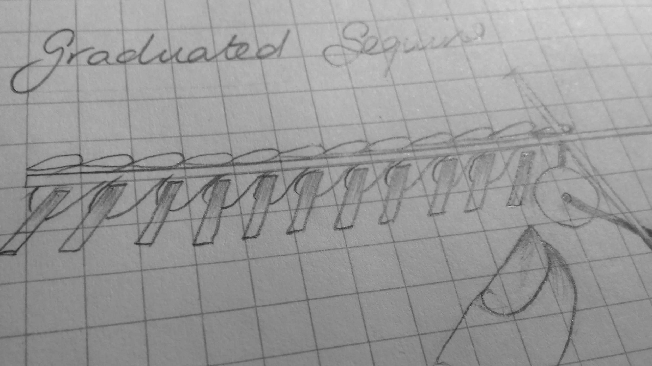 graduated sequins.jpg