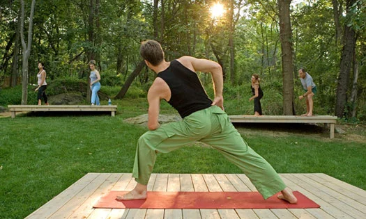 Yoga for Strength and Stamina