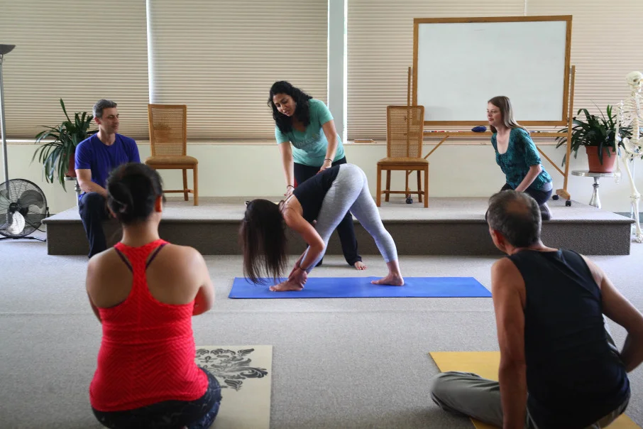 200-Hour Yoga Teacher Training