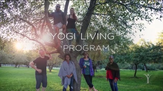 Yogi Living: Ancient wisdom for a Modern life.