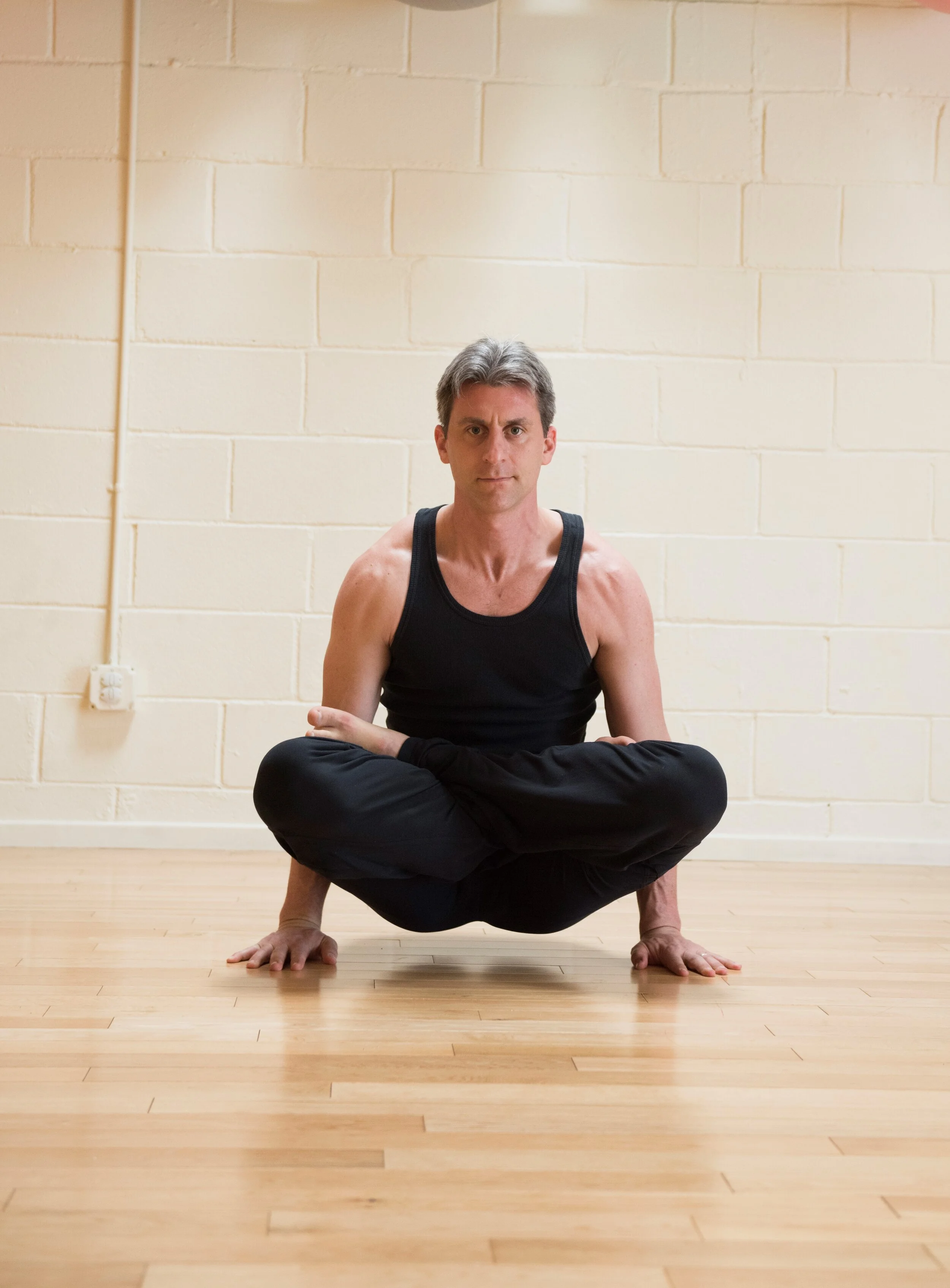 Ha-Tha Yoga:  The Power of Polarity