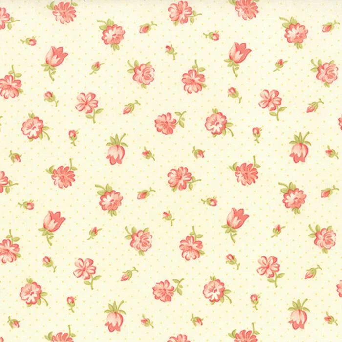 Strawberry - 07