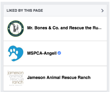 YOU CAN CHANGE UP HOW PAGES YOU HAVE LIKED APPEAR ON YOUR OWN RESCUE PAGE