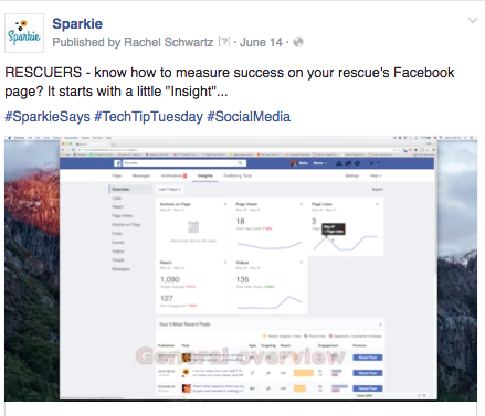 In this post on Facebook we used our own hashtag, #SparkieSays, as well as 2 more that related to the content we were publishing that day
